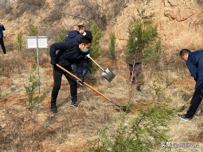 种下一片新绿——澄城县司法局积极参加义务植树活动（图）