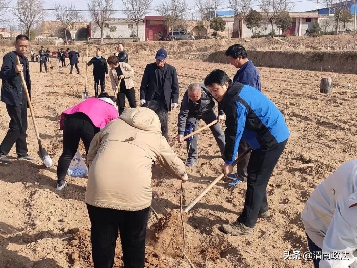 栽植产业希望 收获明日富裕 ——澄城县委政法委参加浴子河村义务植树劳动（组图）