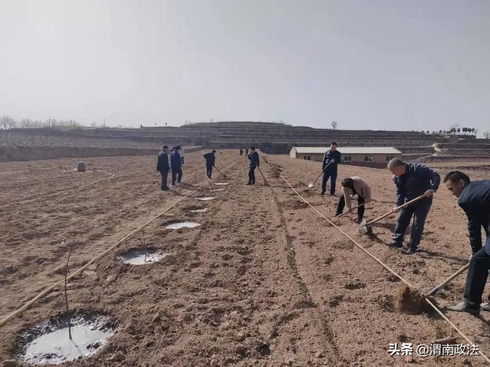 栽植产业希望 收获明日富裕 ——澄城县委政法委参加浴子河村义务植树劳动（组图）
