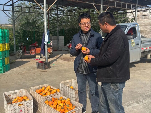 微信图片_2025-10-31_084011_172