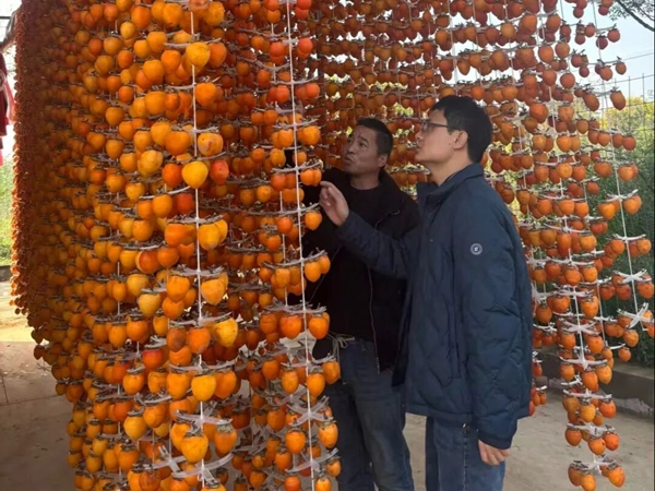 微信图片_2025-10-31_084015_314