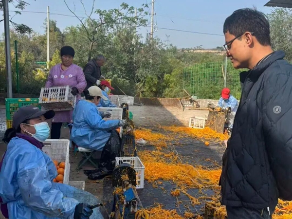 微信图片_2025-10-31_084019_938