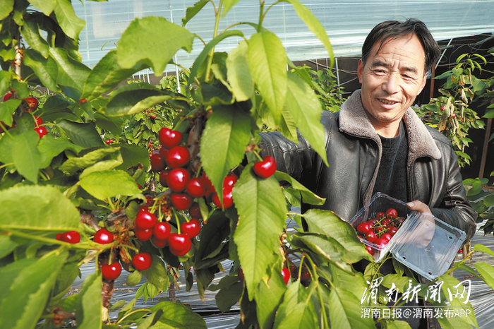 20251225085637124-80-9c58d